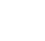 Opulent Vacations