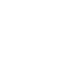 The Lion Vail