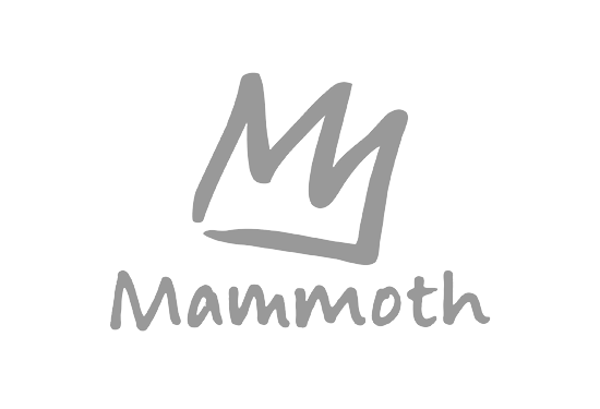 Mammoth Luggage Shipping